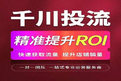 SEM服务案例：提升网站流量